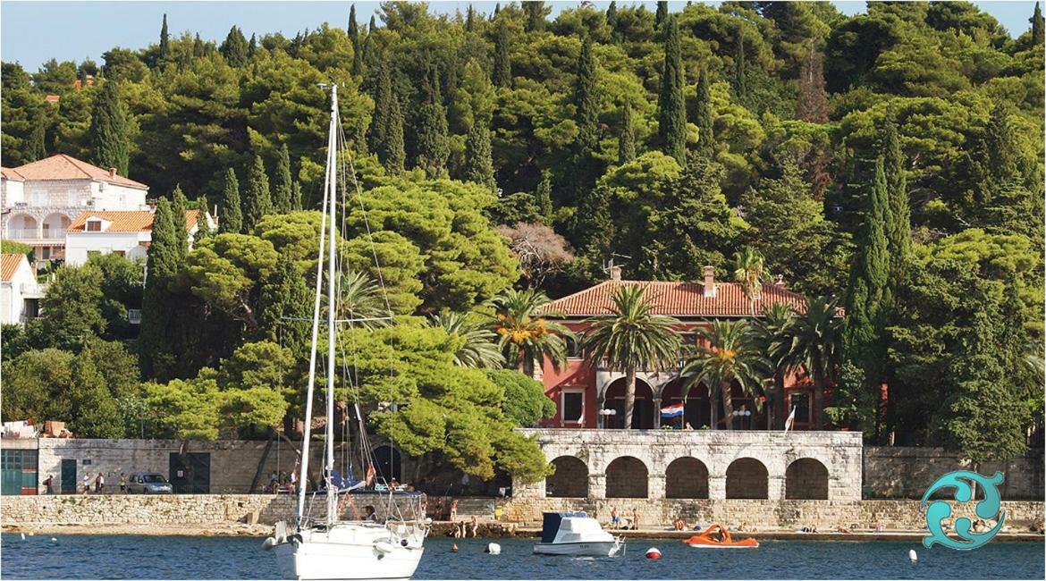 Luxury Apartment Antonija-Old Town Cavtat Exterior foto